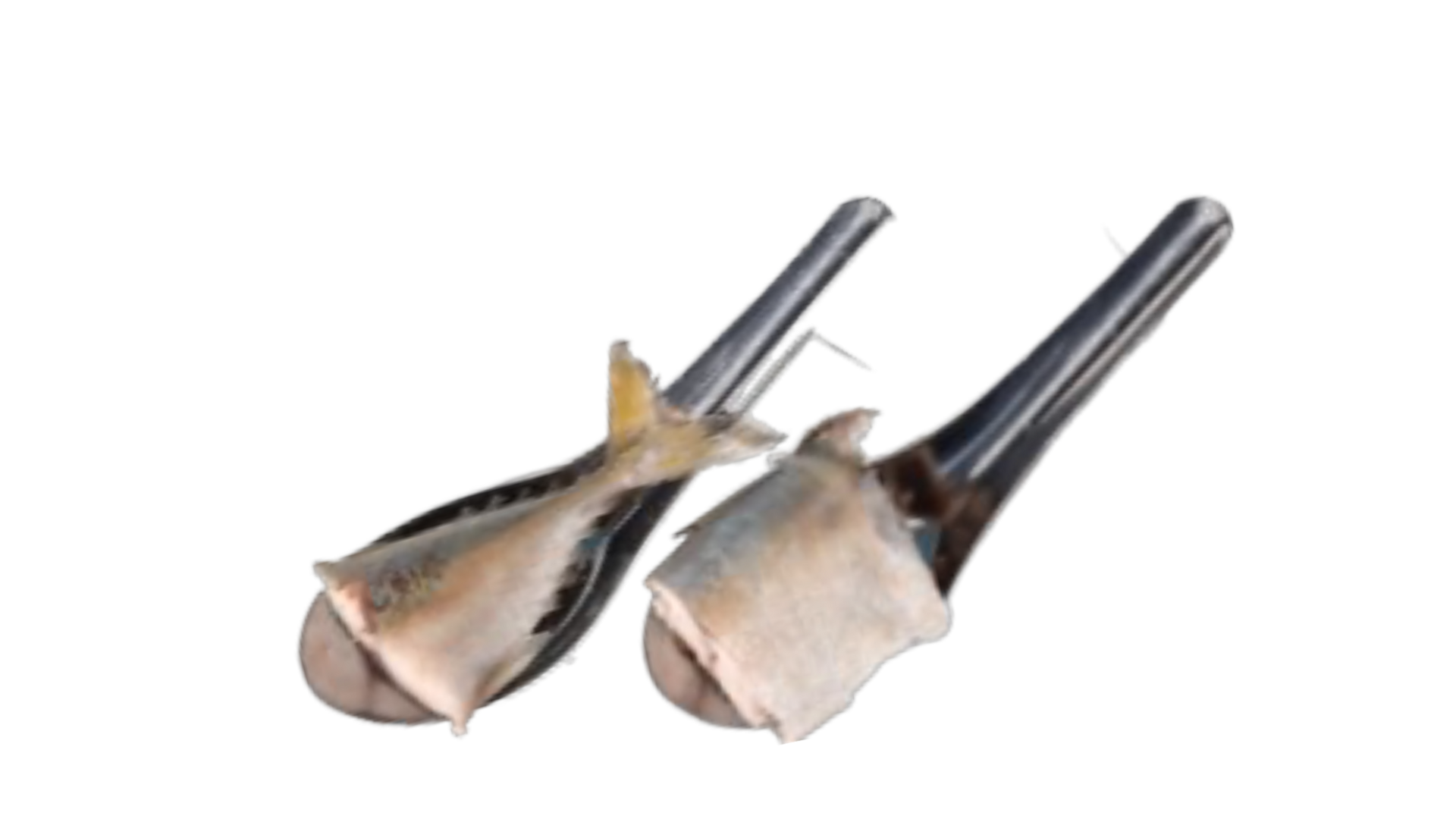 ปลาทู